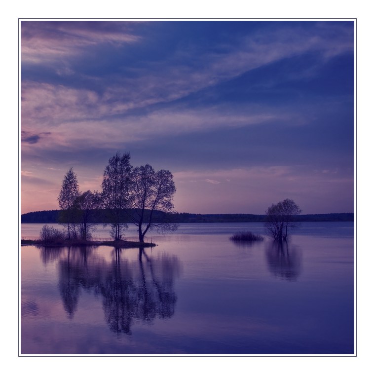 lavender-twilight