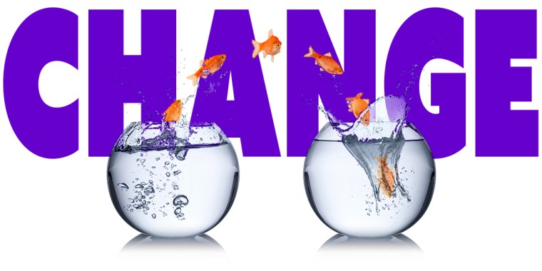 Image from ShutterStock.