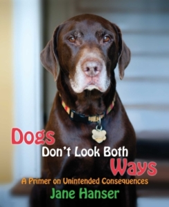 Dogs Don't Look Both Ways