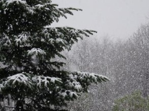 Snow Storm Christmas tree